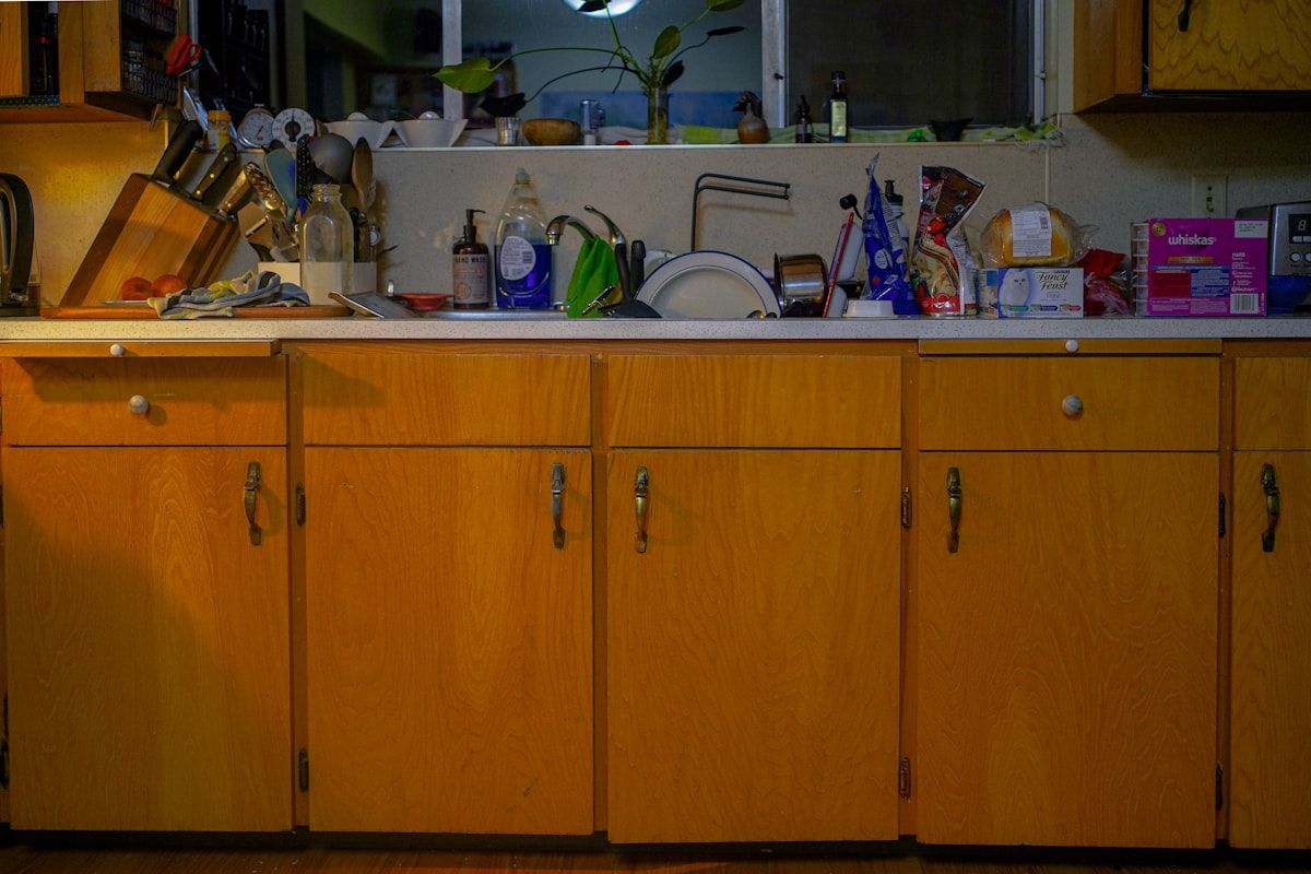A kitchen cabinet under a sink opened wide to reveal small dark droppings in the corner, a papery shed roach skin on the shelf, a brown egg case tucked beside a pipe opening, and a flashlight beam catching a live roach near the back wall.