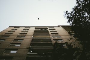 Why Roaches Keep Coming Back in Apartments