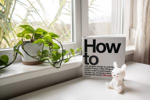 How to Know If You Have Roaches in Your Home